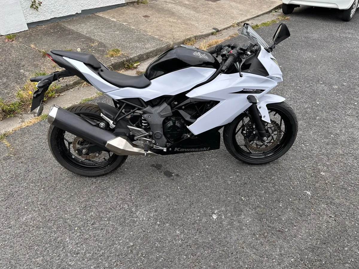 2016 Kawasaki Ninja SL 250 - Image 4