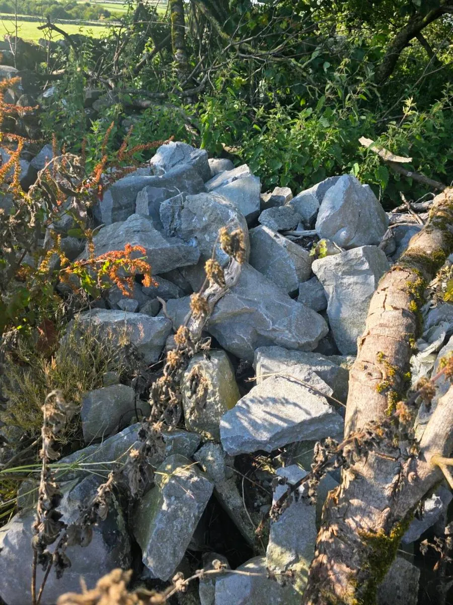 old white Limestone - Image 4