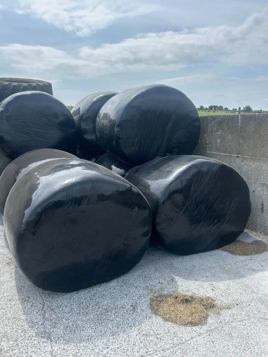 Silage bales