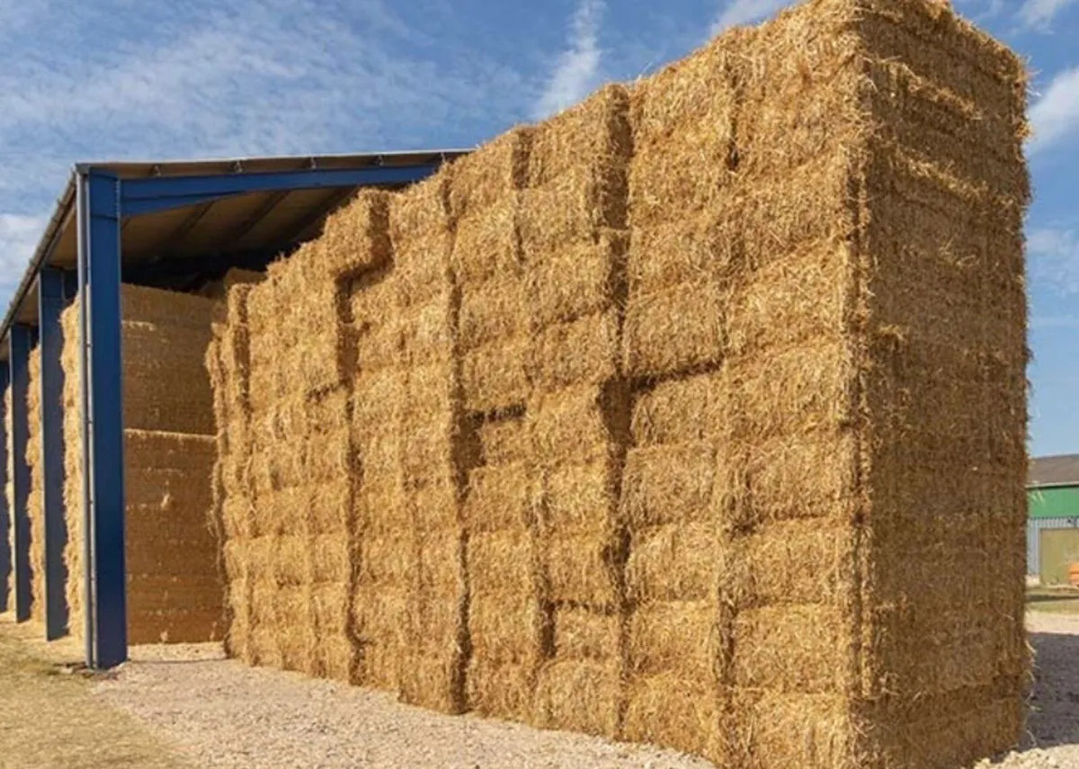 🌾 2026 straw all areas covered 🌾 - Image 2