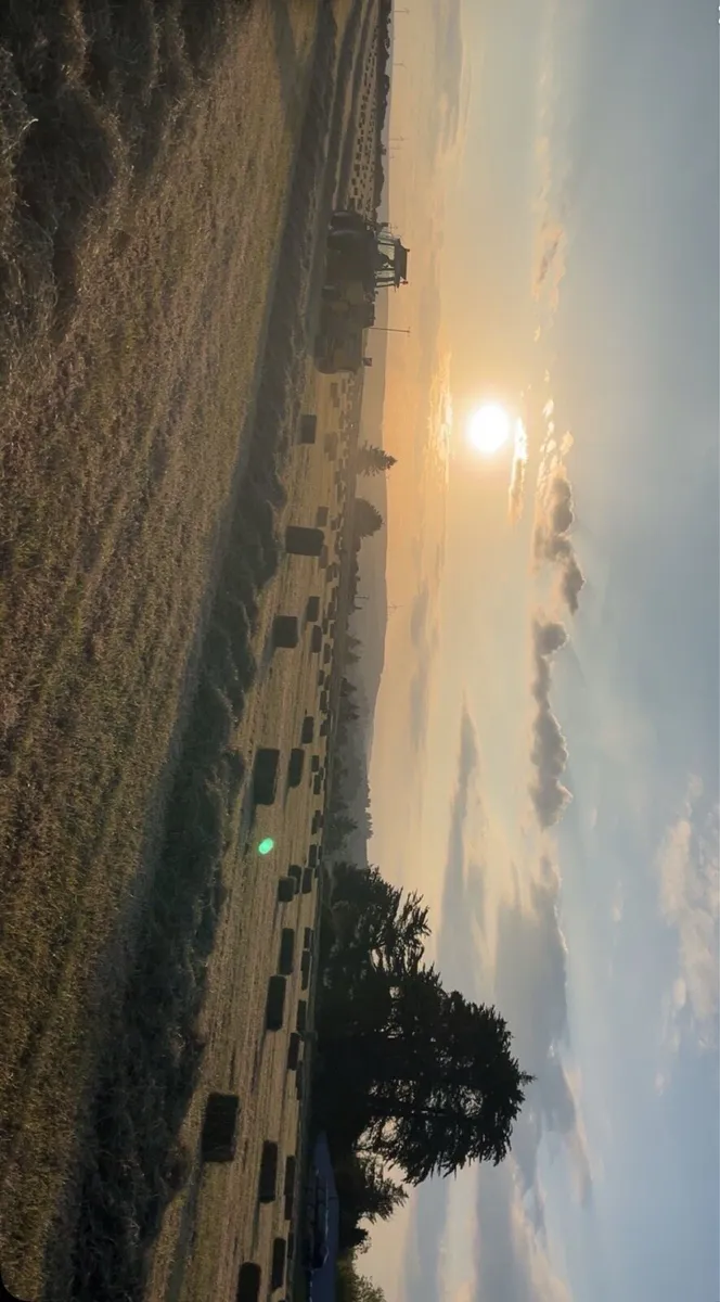 Premium Hay Round Bales & Small Square Bales - Image 1