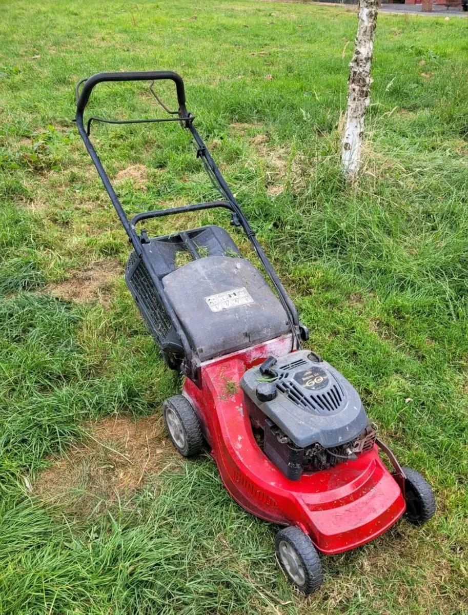 Lawnmower & Trimmer - Image 2