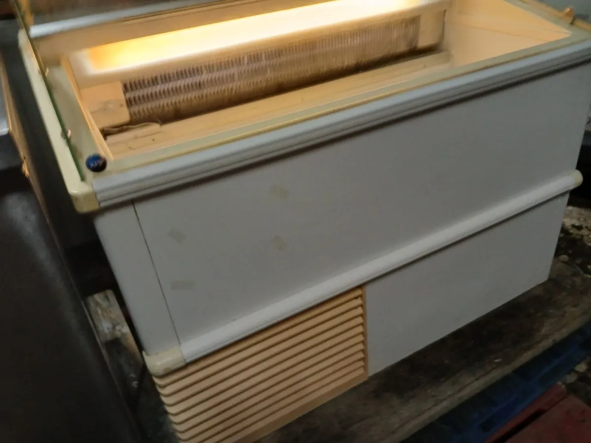 Fridge freezzer display icecream unit..delivered - Image 2