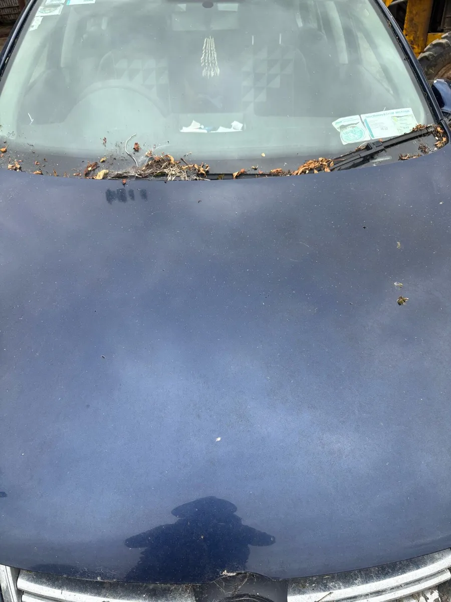 06 vw  Jetta 1.9TDI - Image 3