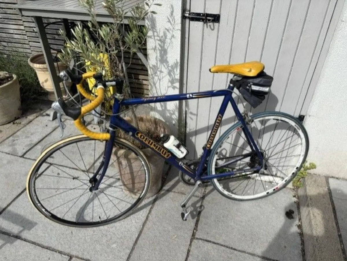 Vintage road bike