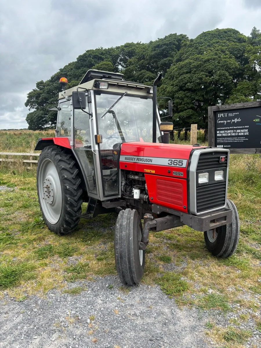 Massey Ferguson 365 - Image 1