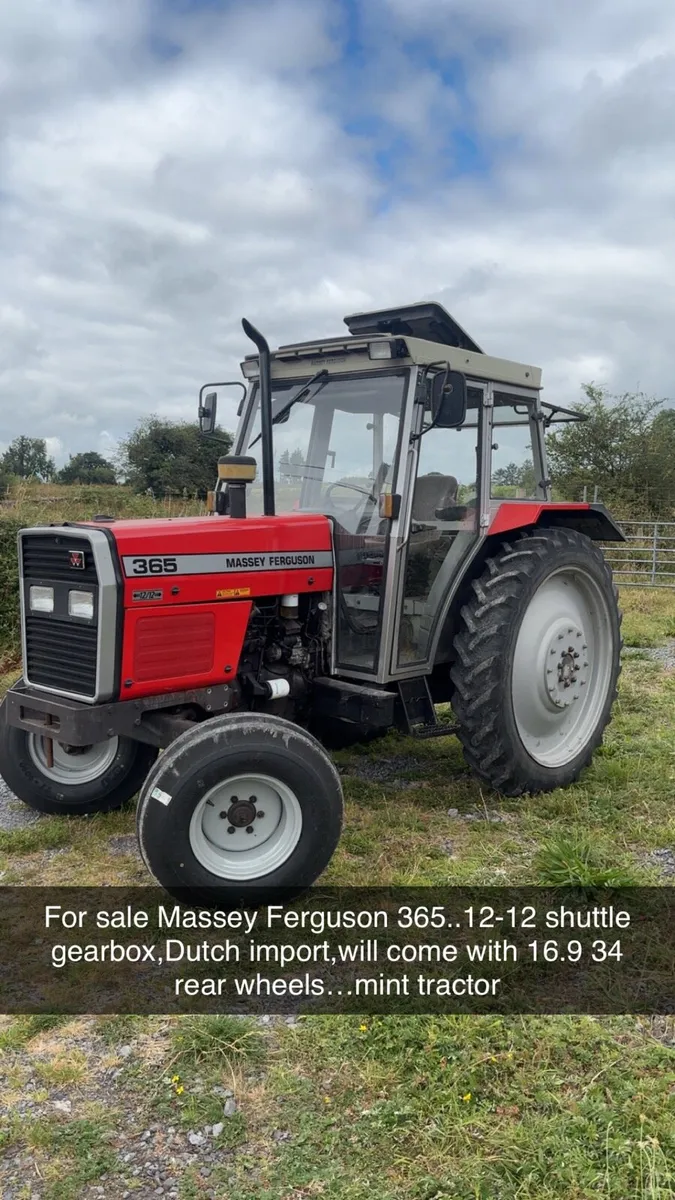 Massey Ferguson 365 - Image 3
