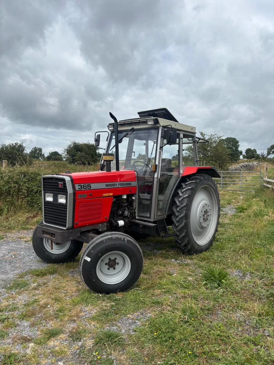 Massey Ferguson 365 - Image 2