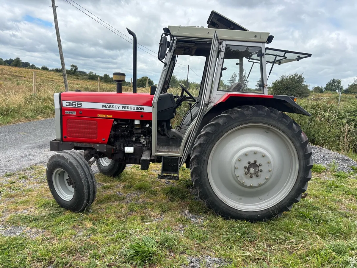 Massey Ferguson 365 - Image 4