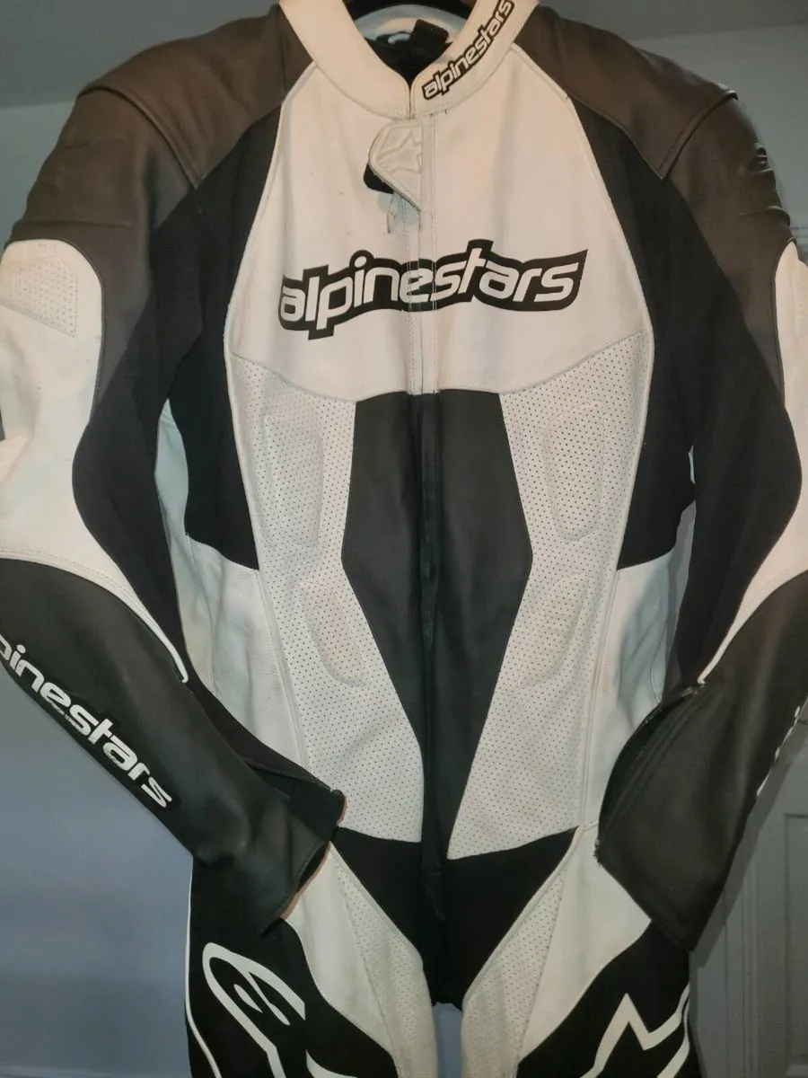 Alpinestars 1 piece leathers, back protector - Image 2
