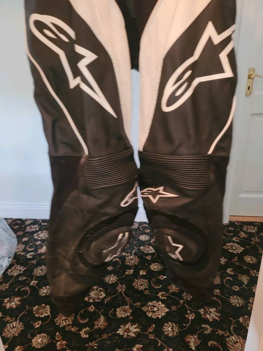 Alpinestars 1 piece leathers, back protector - Image 3
