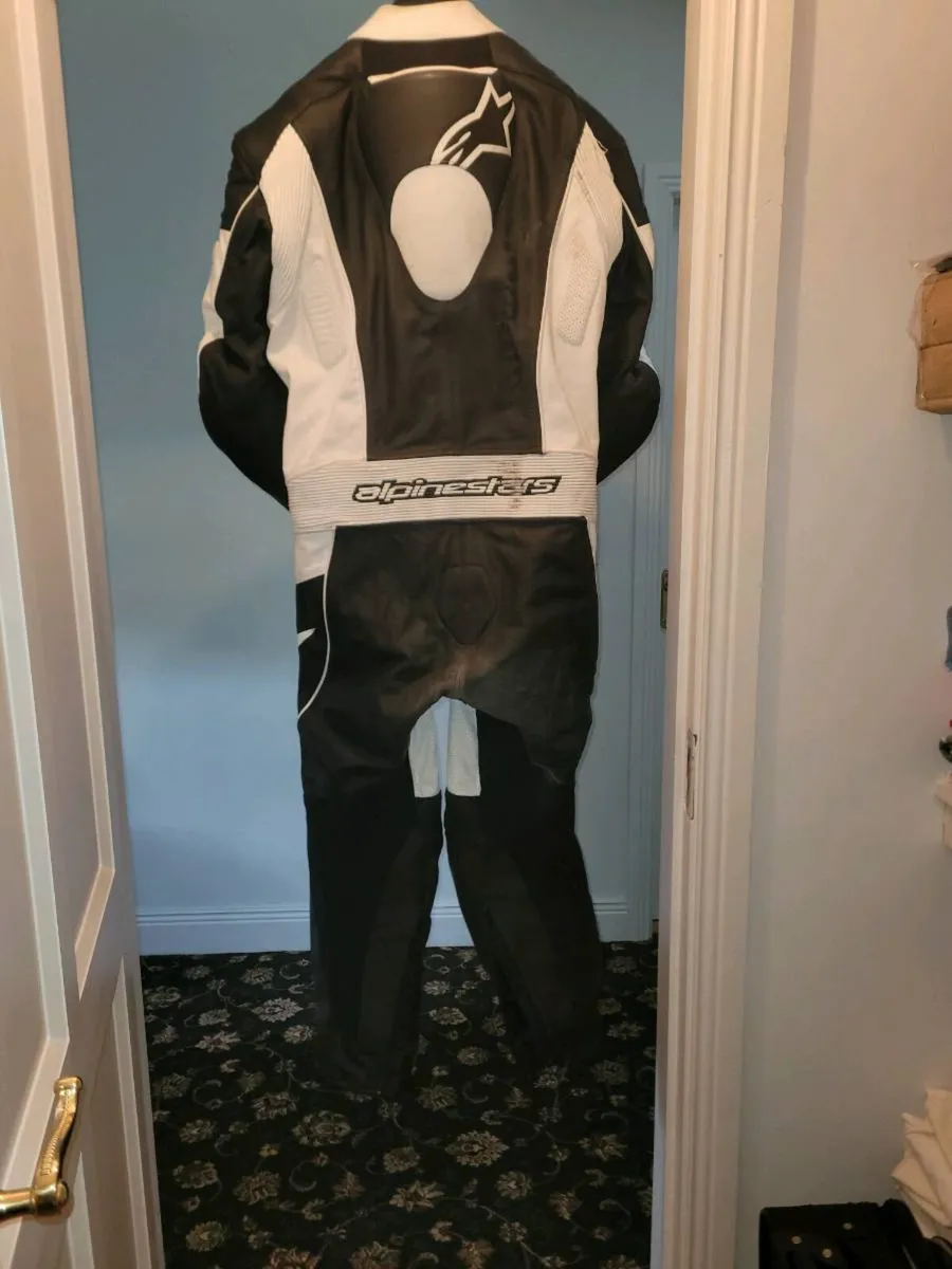 Alpinestars 1 piece leathers, back protector - Image 4