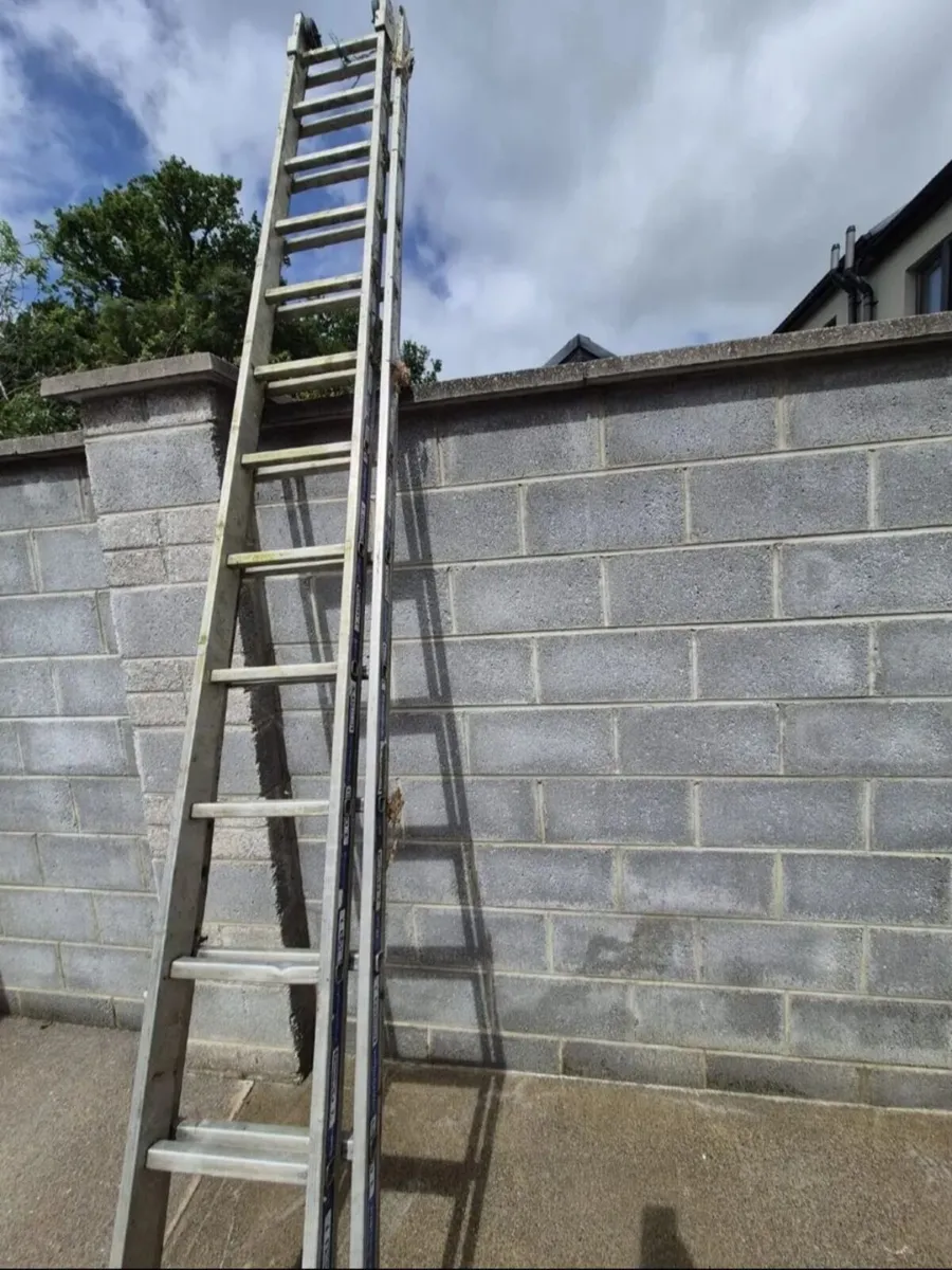 Ladders - Image 2
