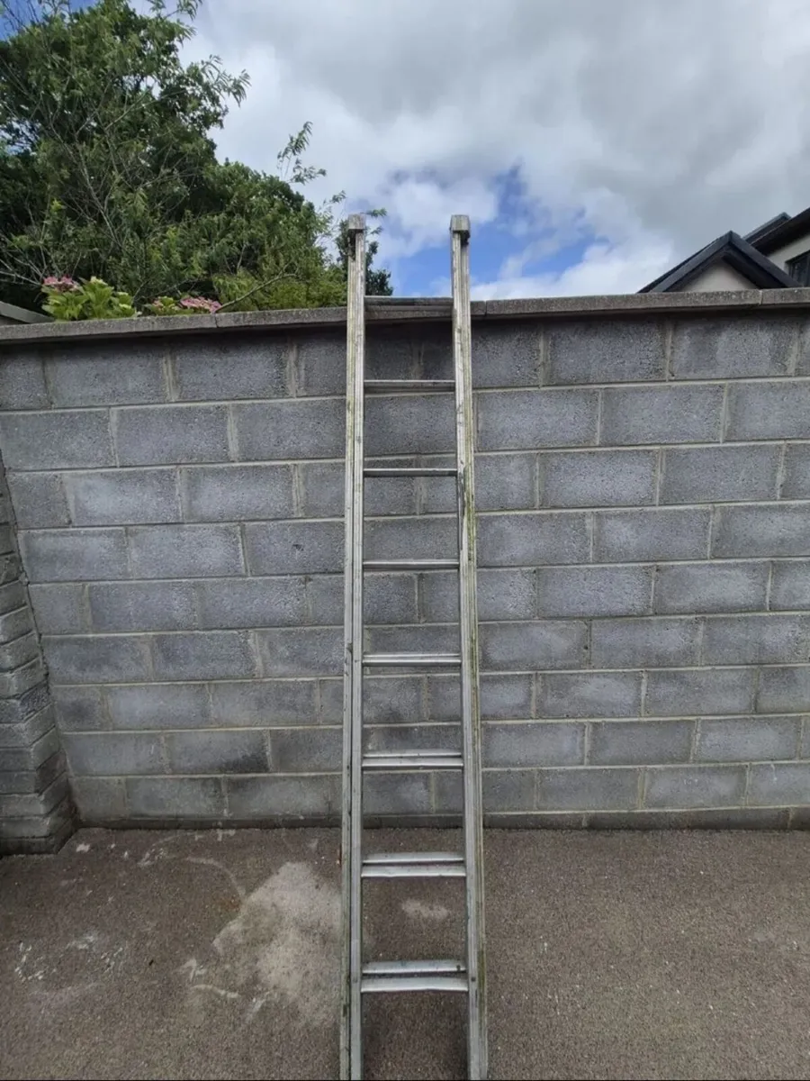 Ladders - Image 3