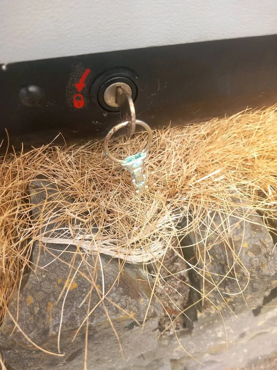 Roofbox - Image 3