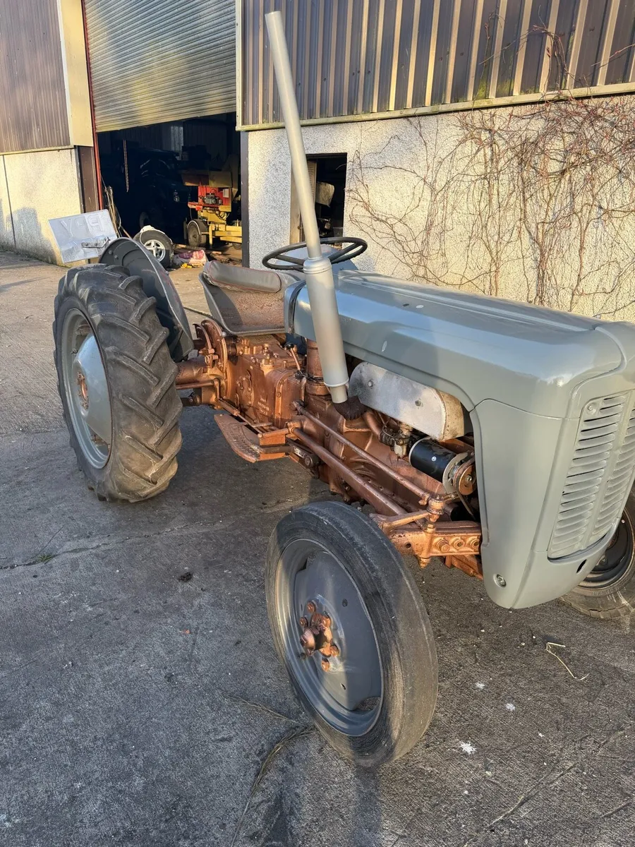 Massey Ferguson Gold Belly - Image 1