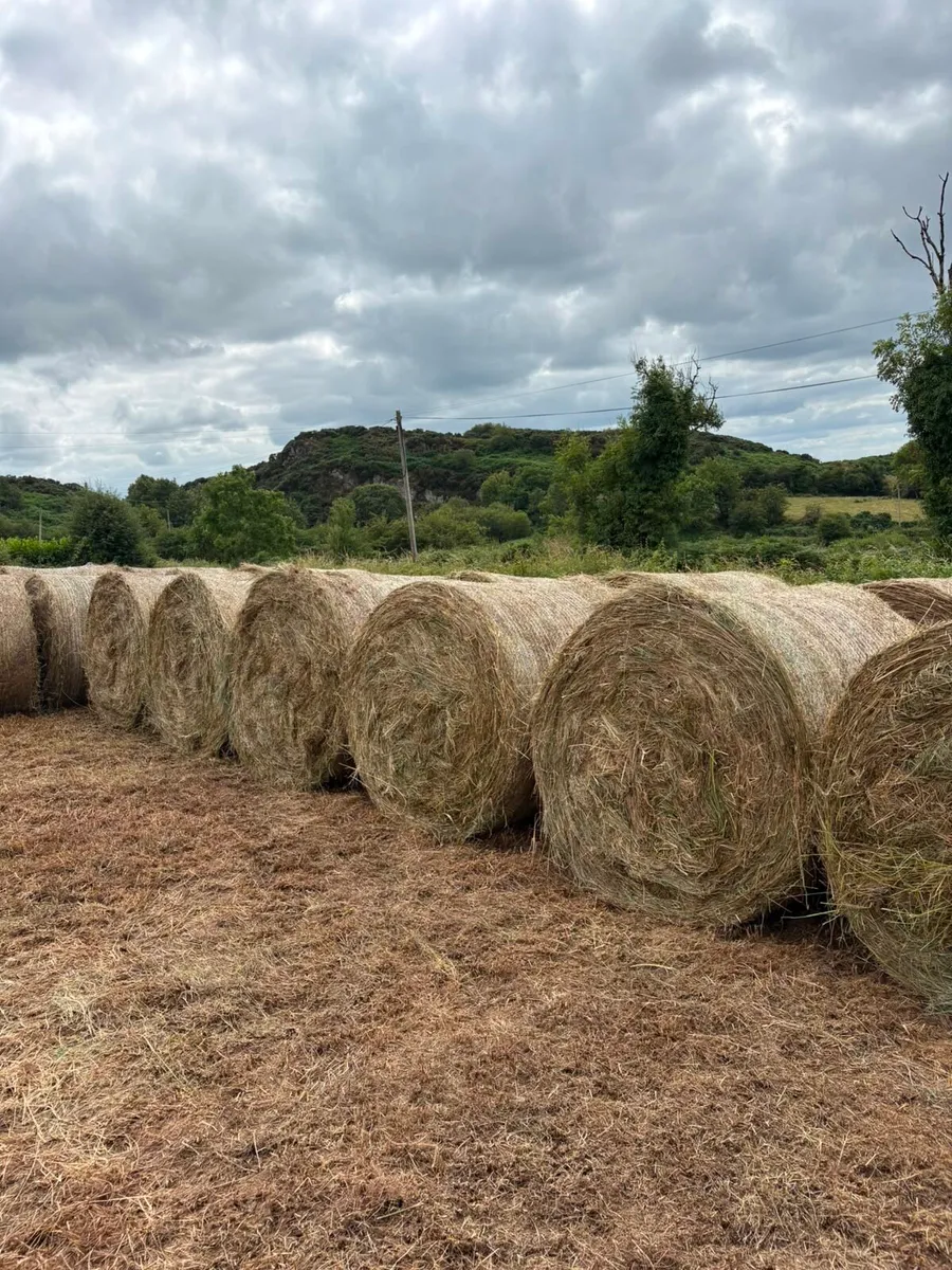 Bedding hay/rushes bales
