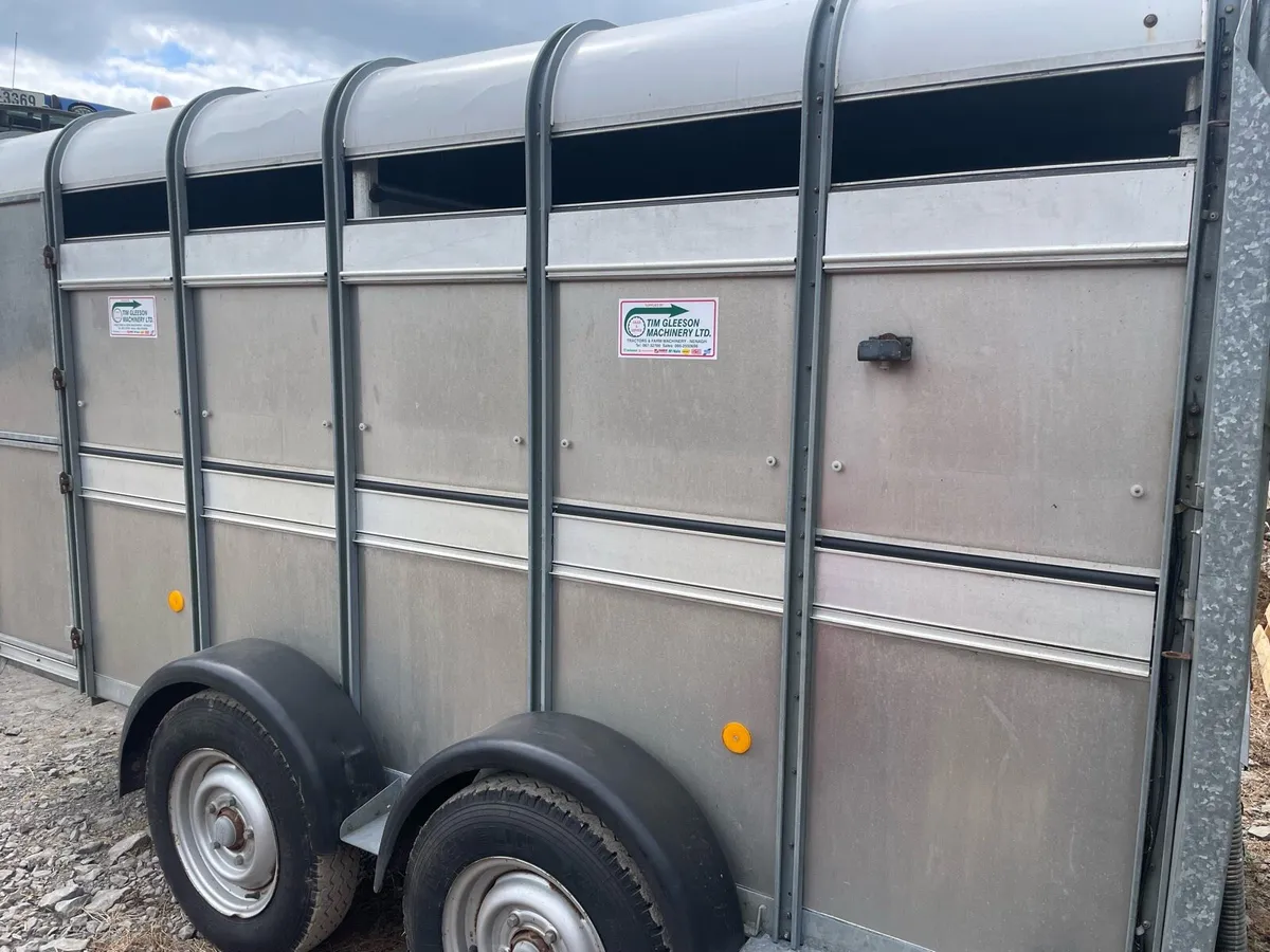 🟢🟡🟢 Ifor 12ft Cattle trailer 🟢🟡🟢 - Image 4