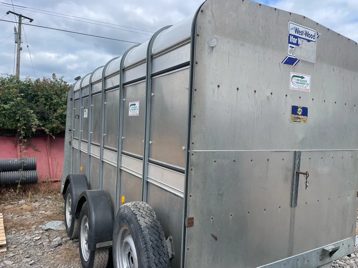 🟢🟡🟢 Ifor 12ft Cattle trailer 🟢🟡🟢 - Image 2