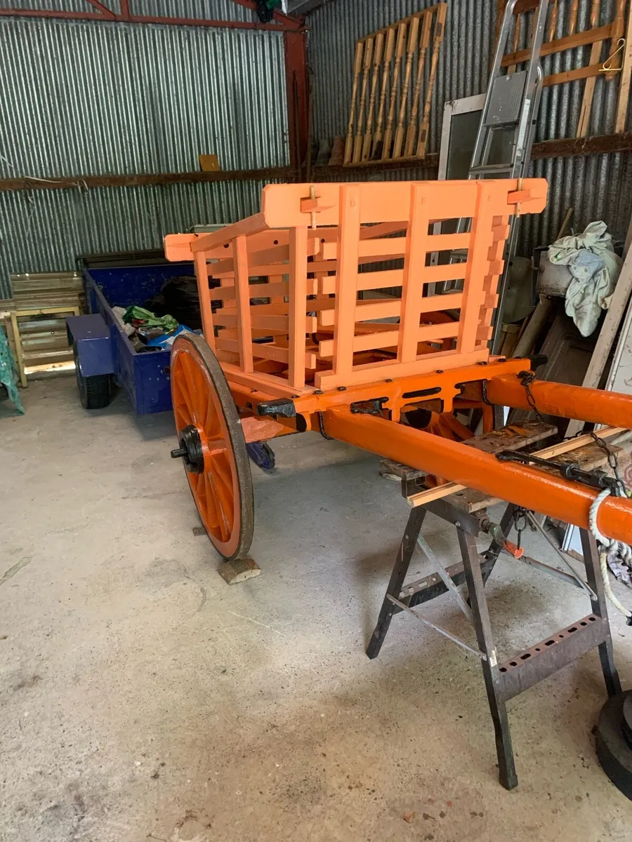 Donkey’s Car - Image 1