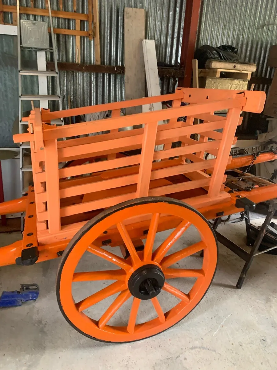 Donkey’s Car - Image 3