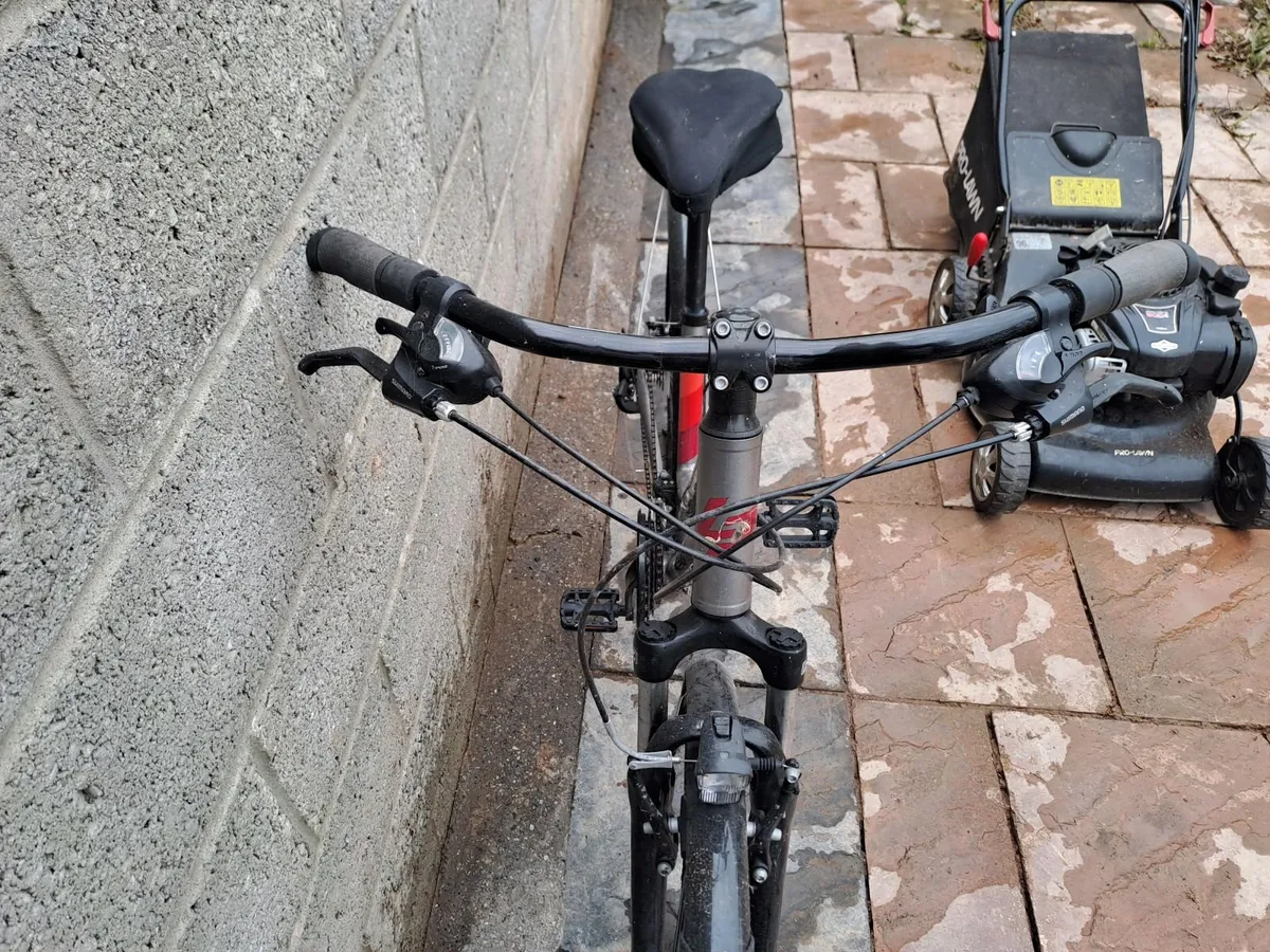 Adult bicycle - Image 2