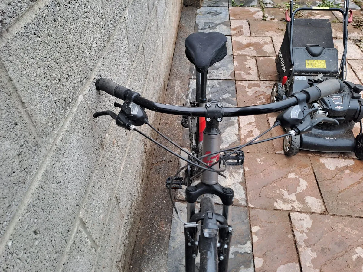 Adult bicycle - Image 3