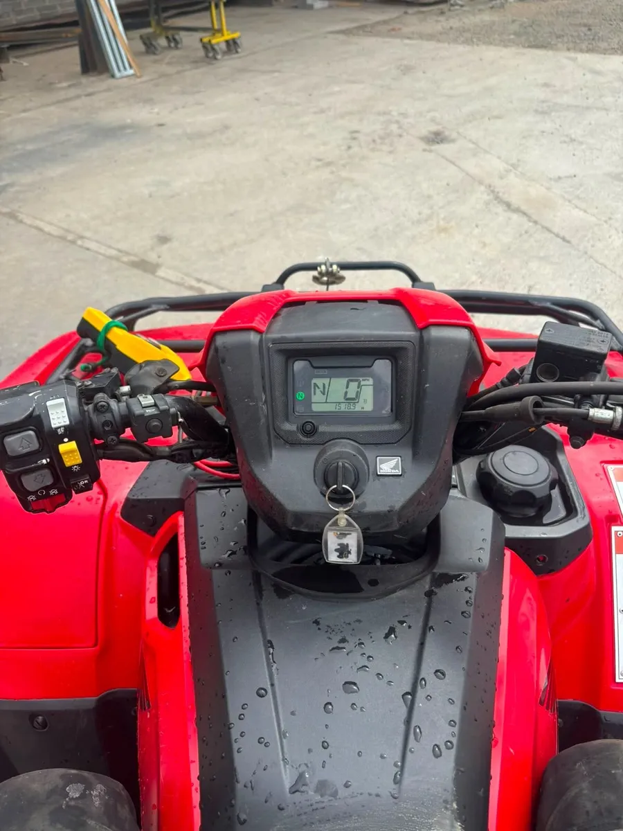 quad - - Image 2