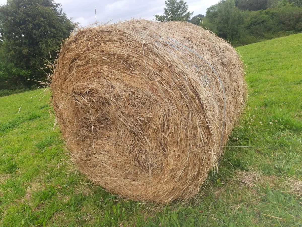Hay for sale near roadside - Image 2