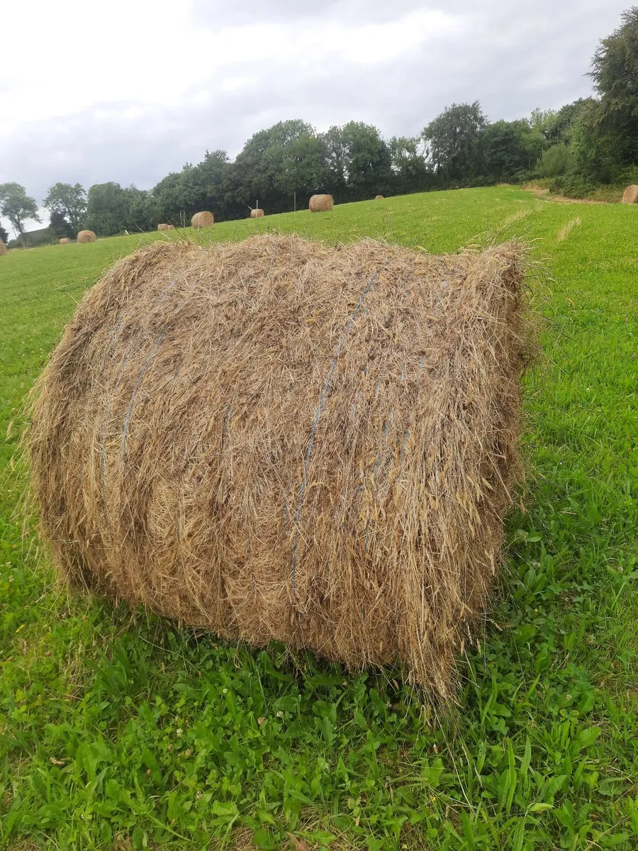 Hay for sale near roadside - Image 3