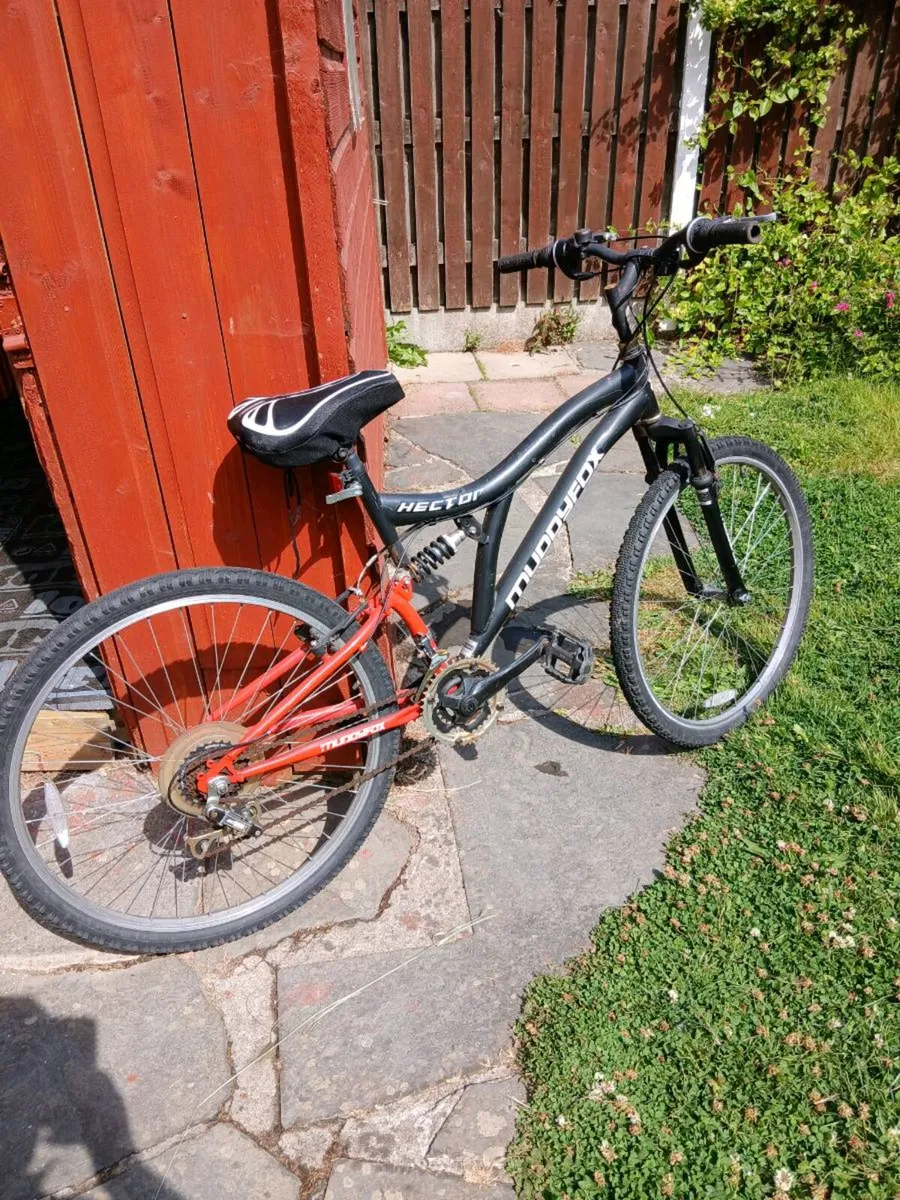 Bicycle - Image 2
