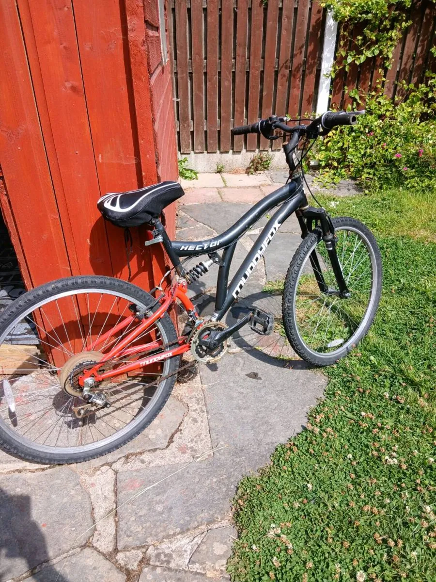 Bicycle - Image 1