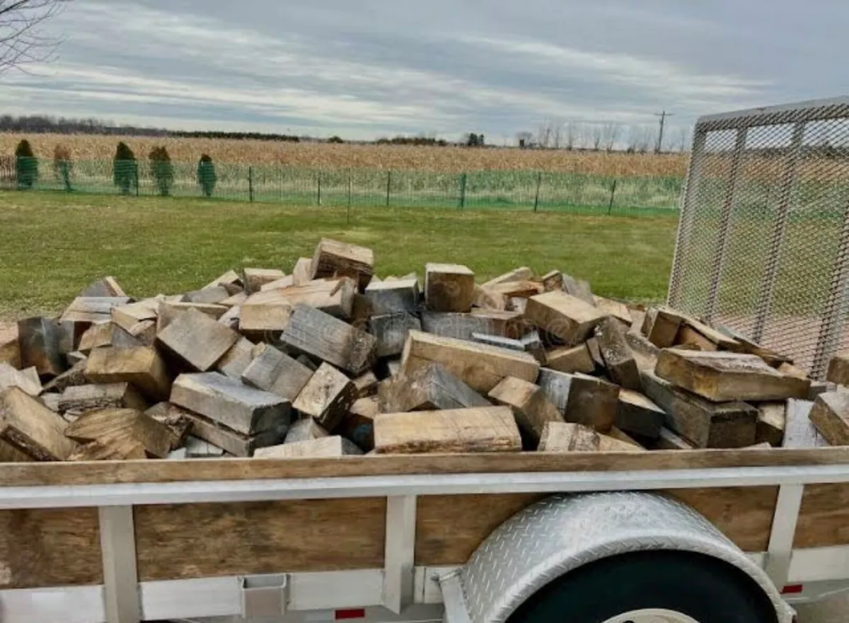 Firewood - Image 3