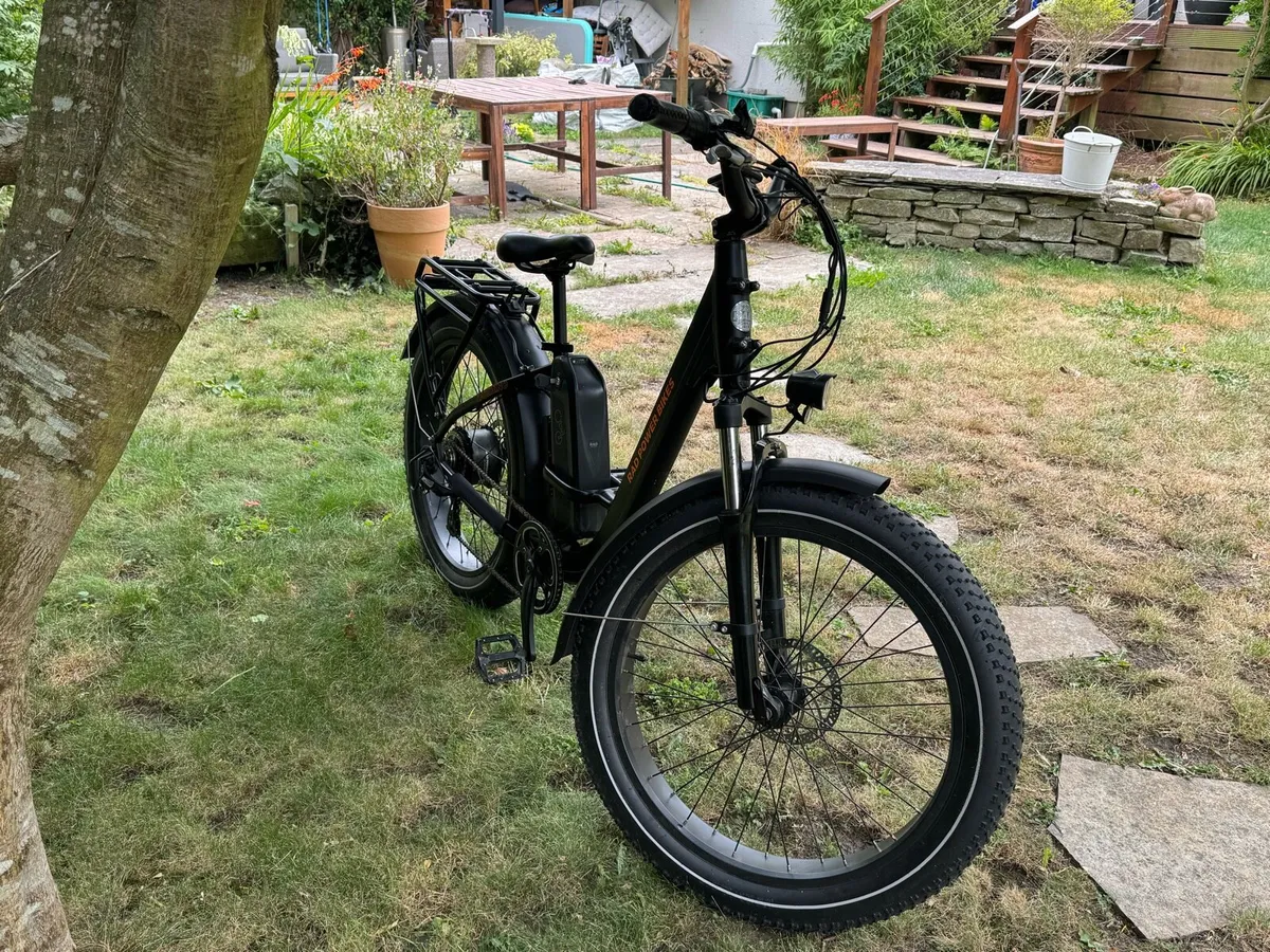 RadRhino Step through ebike - Image 2
