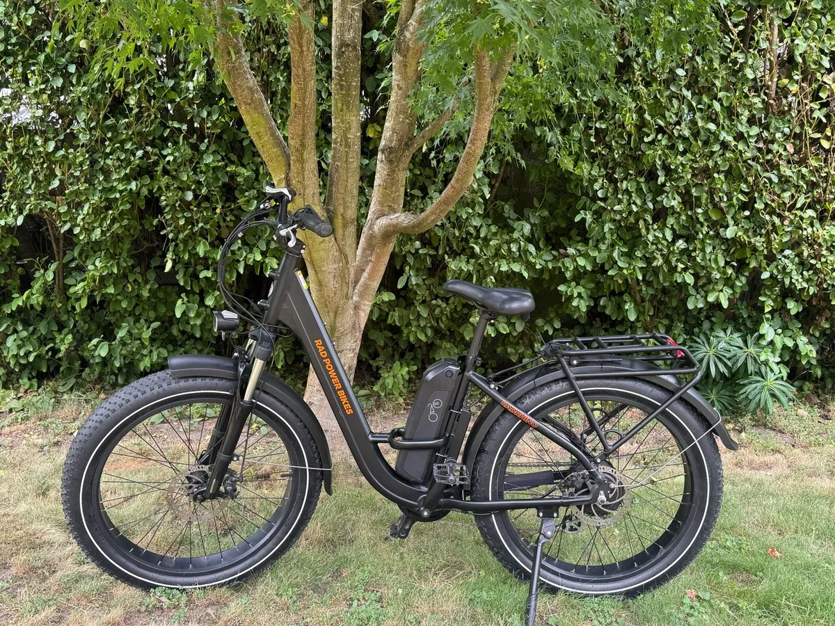 RadRhino Step through ebike - Image 1