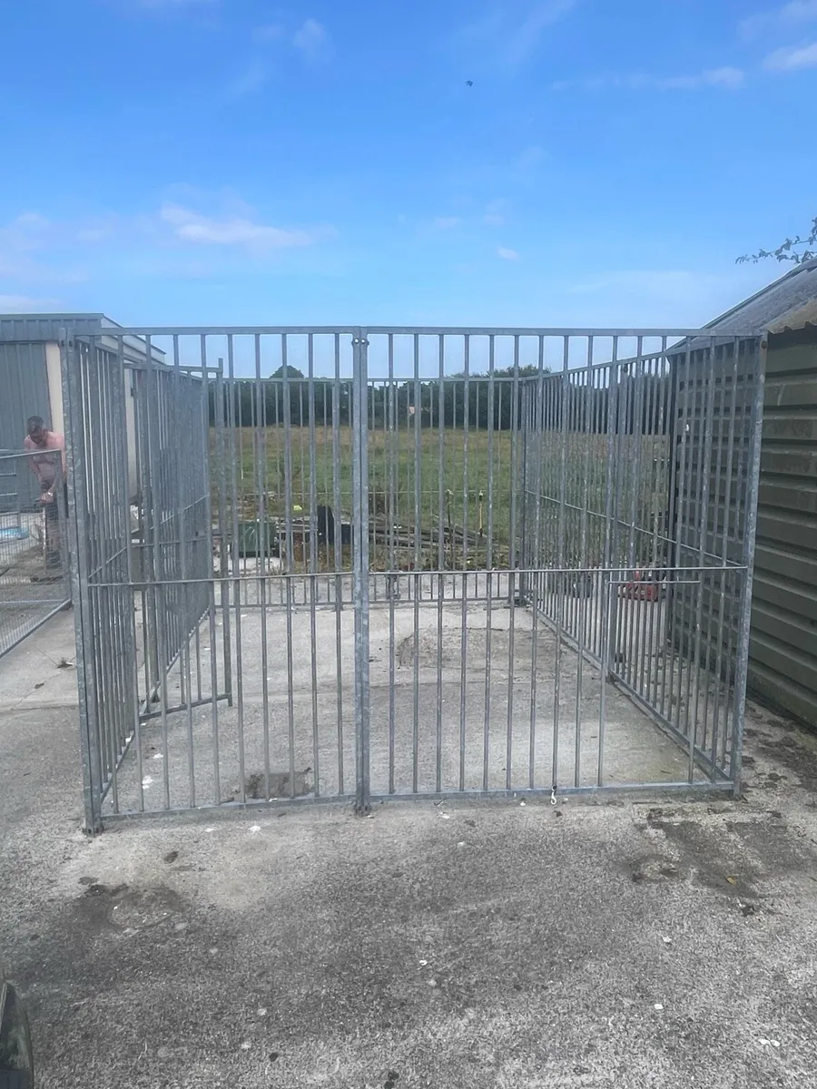 Dog Run - Image 2