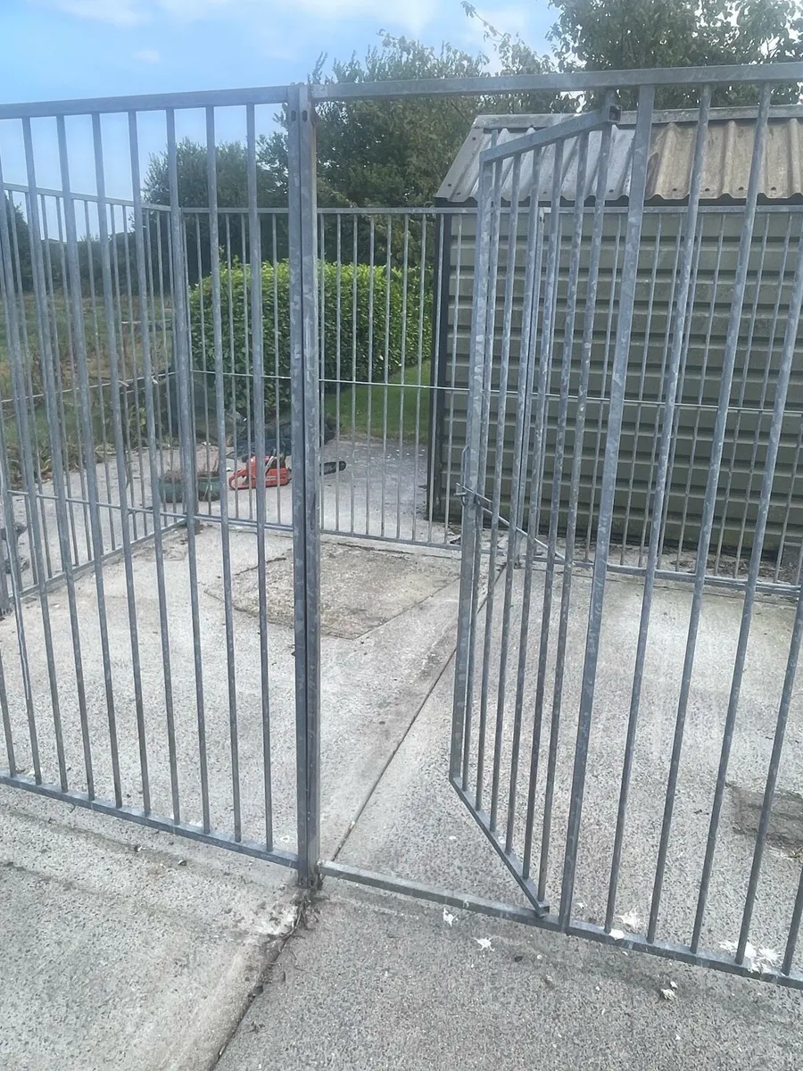 Dog Run - Image 3