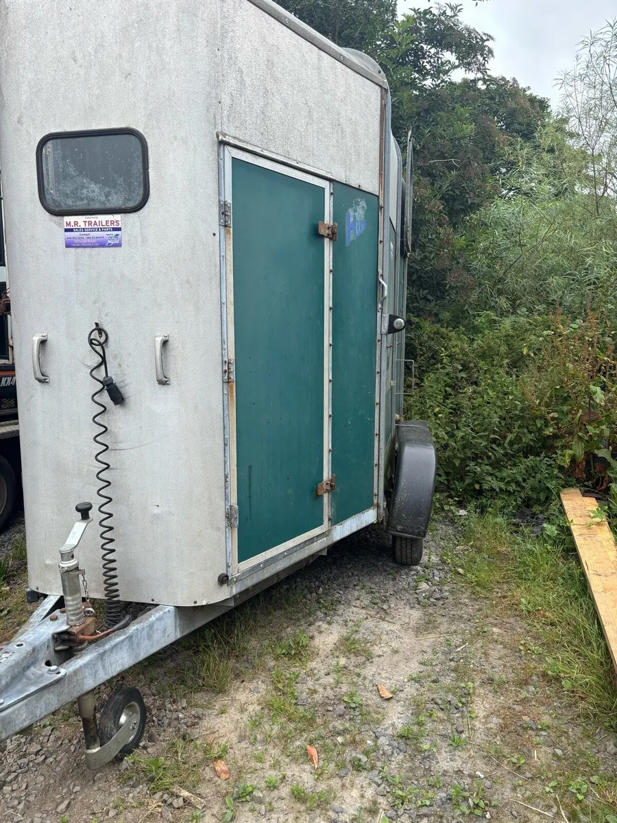 Ifor Williams 505 horse box - Image 1