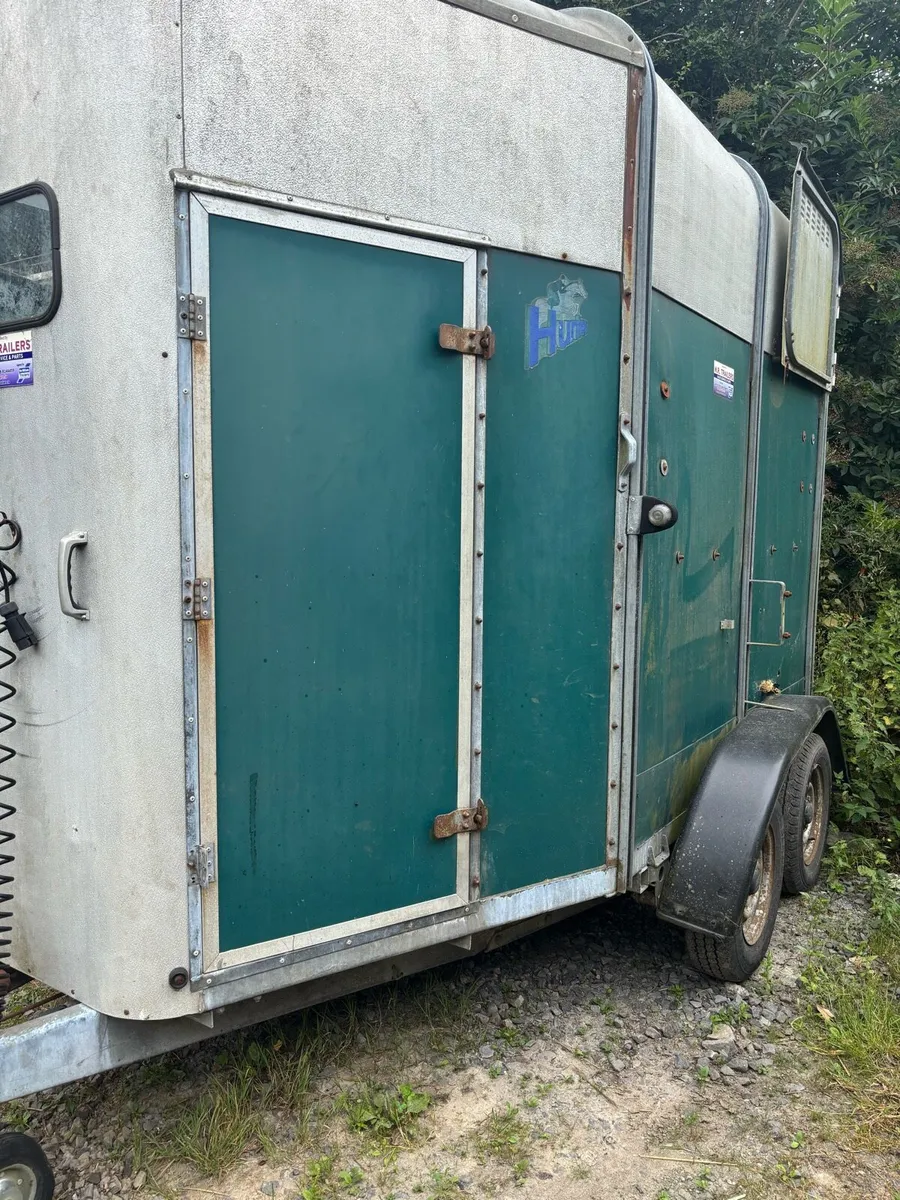 Ifor Williams 505 horse box - Image 4