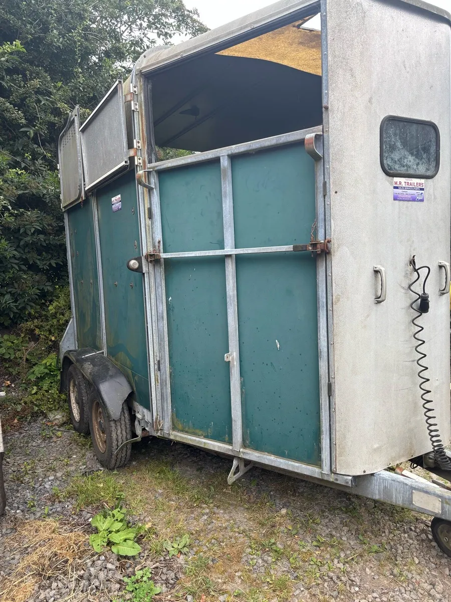 Ifor Williams 505 horse box - Image 2