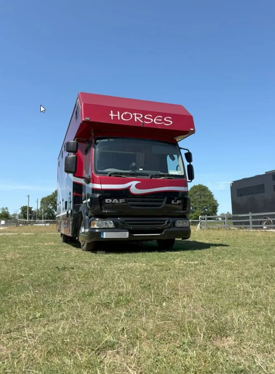 DAF LF 7.5T Horsebox 2008 - Image 2