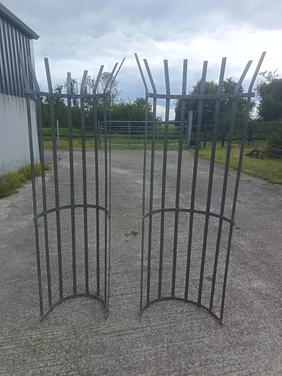 Galvanised tree guards - Image 1