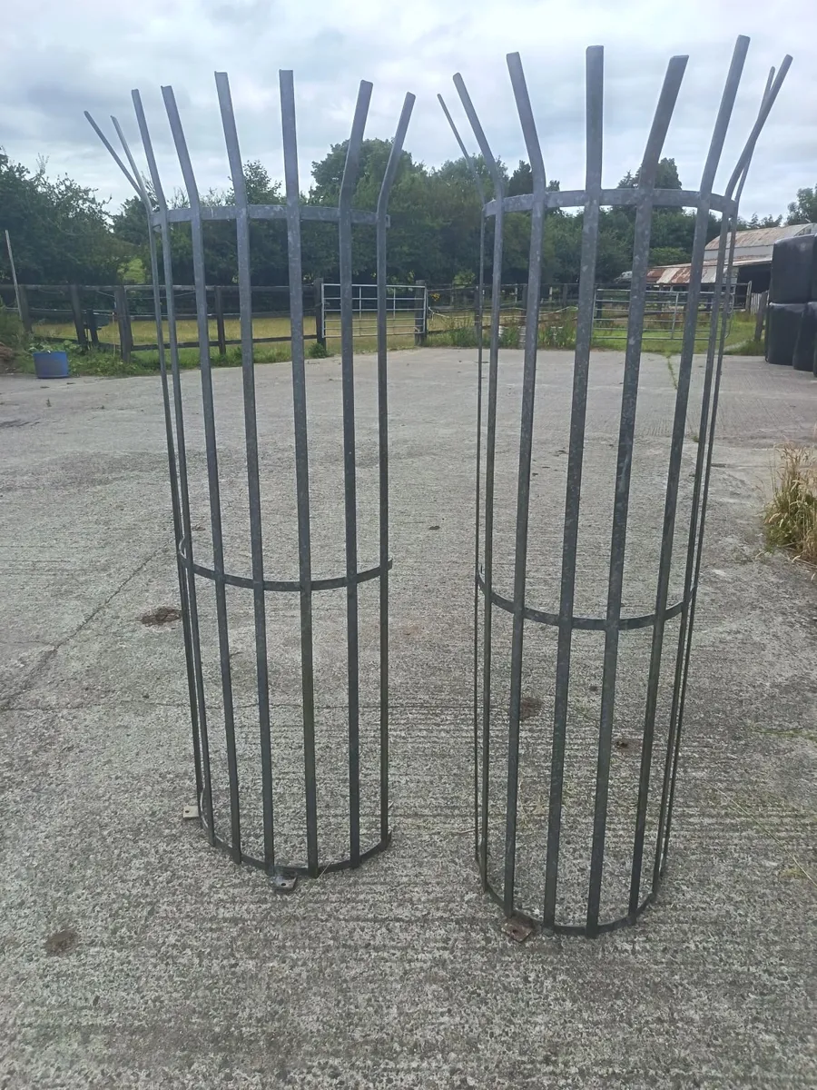 Galvanised tree guards - Image 2