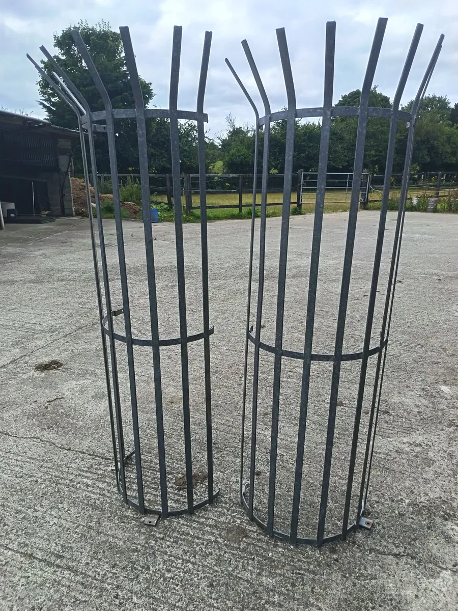 Galvanised tree guards - Image 4