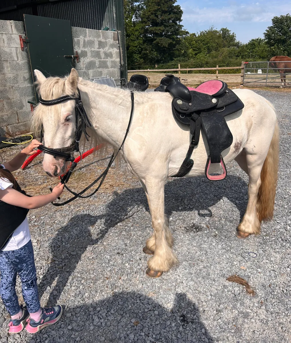 Pink western saddle for sale