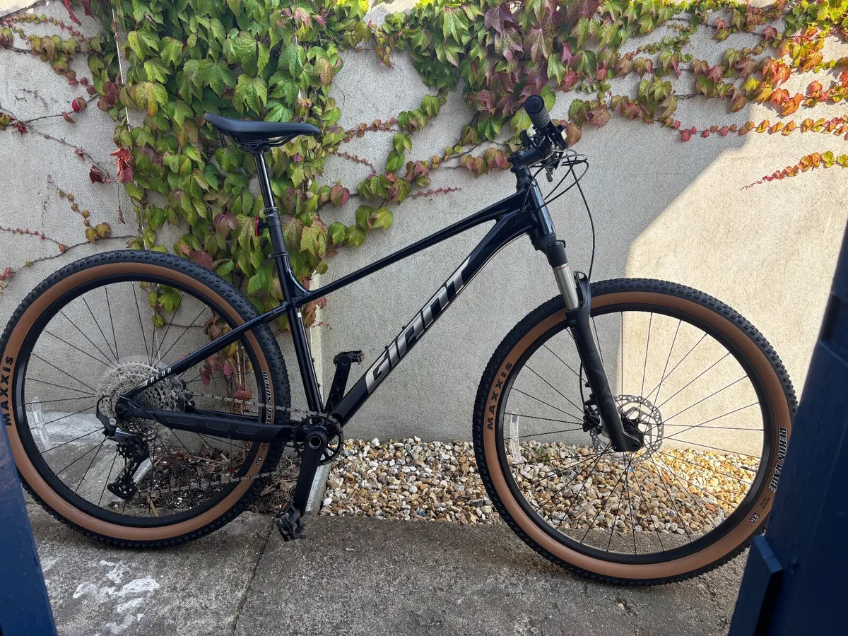 Giant Talon 0 size L - Image 1