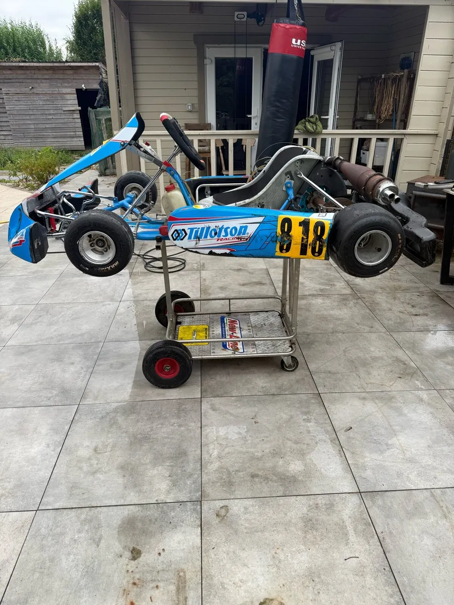 Tillotson T4 Senior Kart - Image 4