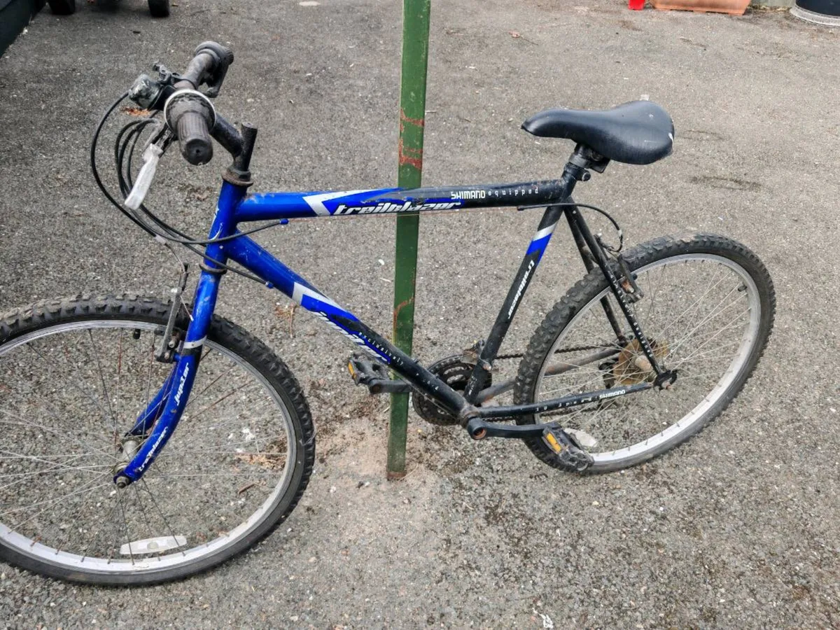 Bikes - Image 1
