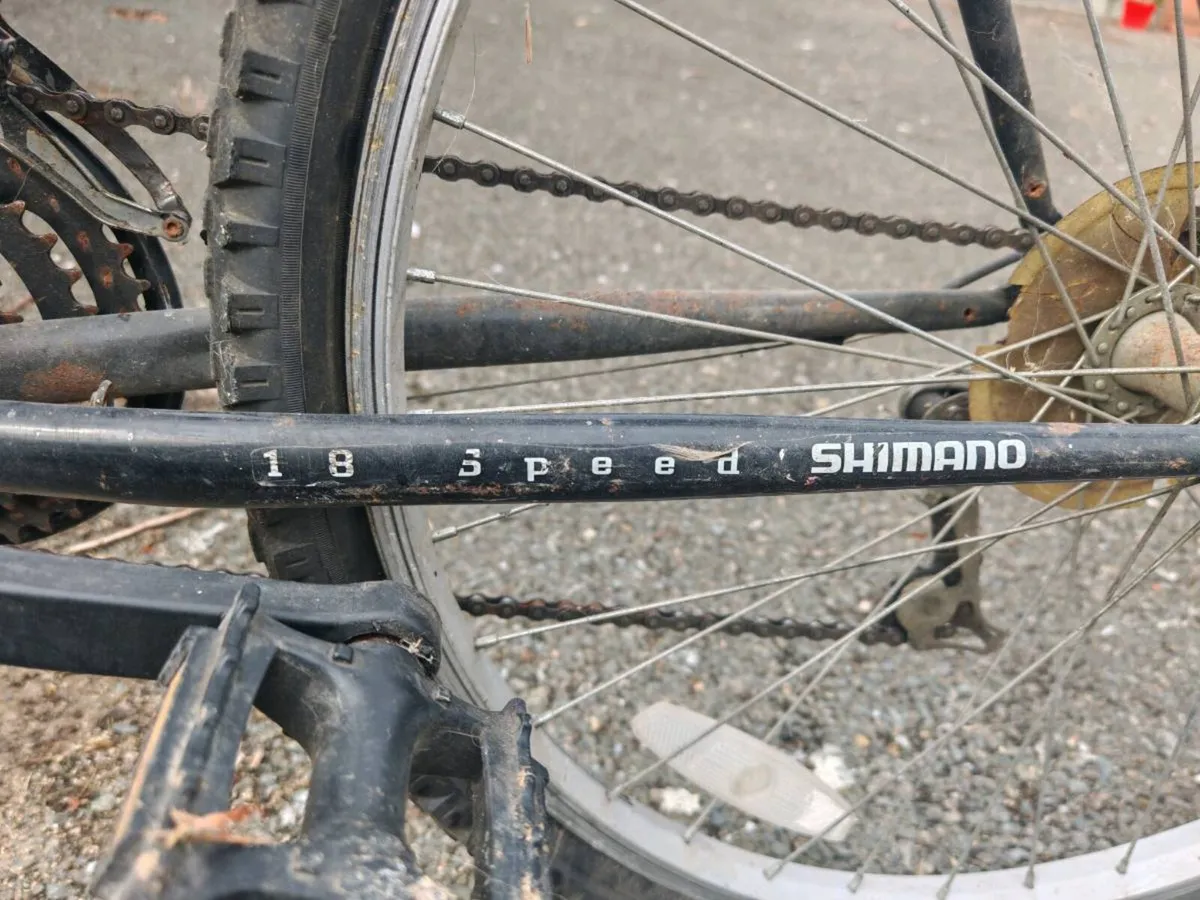 Bikes - Image 3