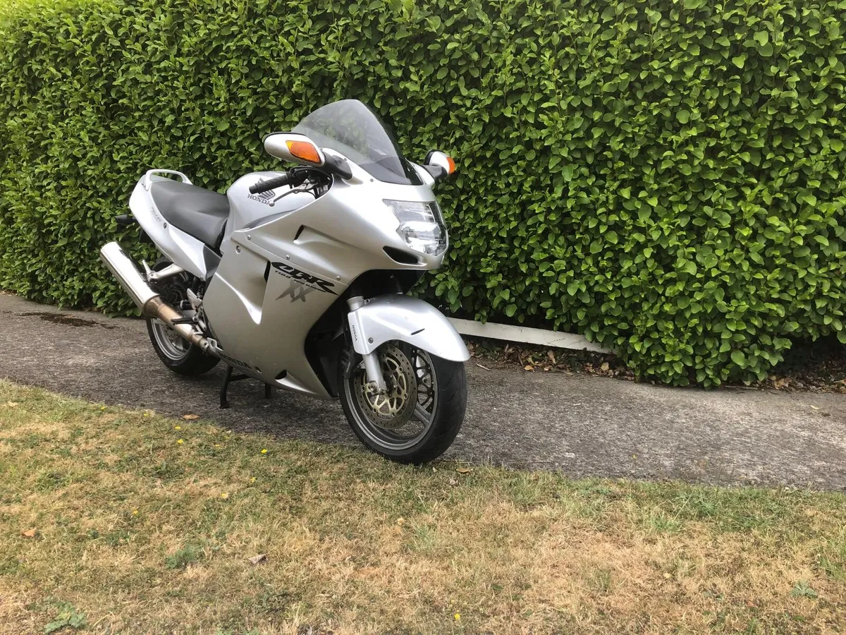 Honda blackbird 2004 - Image 2